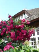 Landhaus-Marwede App6