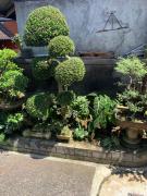 Top Ubud