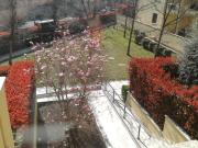 La Casita di Santo Stefano