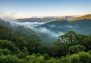 Top Monteverde