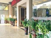 Top Dongguan