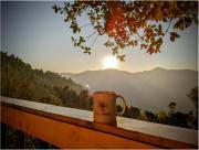 Tree Nest Resort by Vianara