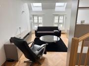 Klimatisierte Luxus-Dachterrassenwohnung im Zentrum