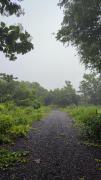 Top Alibaug