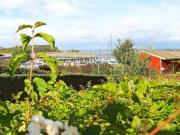 Top Ærøskøbing Top Ærøskøbing