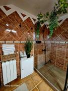 Top Albeştii Pămînteni