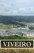 Top Viveiro