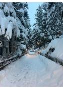 Top Baqueira-Beret