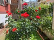 Red Rose Guesthouse