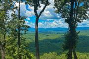 Top Clarkesville