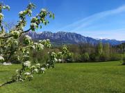 Top Nussdorf am Attersee