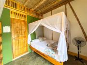 Top Palomino Top Palomino