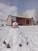 Top Lonquimay Top Lonquimay