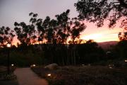 Top Ojai