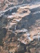 Top Nowa Biała Top Nowa Biała