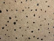 Top Bassano del Grappa