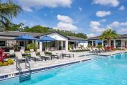 Top Orlando