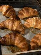 Top Romano D'Ezzelino