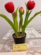 Grazioso Bilocale della Rosa a Cadorago