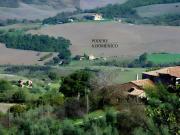 Agriturismo San Domenico-Il Roseto