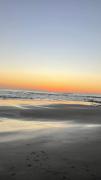 Top Tamarindo