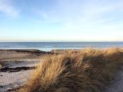 Top Glesborg Top Glesborg