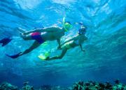 Top Playa del Carmen