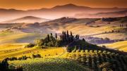 Top Staggia