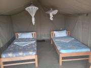 Top Maasai Mara National Reserve