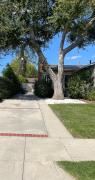 Top Northridge