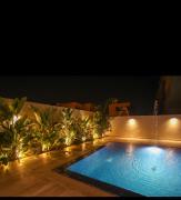 Top Tunis