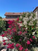 Top Oliveira do Hospital