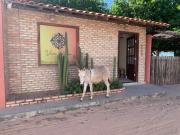 Pousada Viva Barra - Barra Grande - Piauí