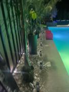 Top Palma di Montechiaro