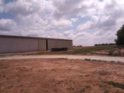 Top Corme-Royal Top Corme-Royal