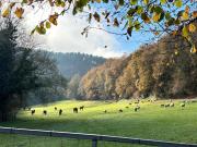 Casa Grande de Covas-Apartamentos Turísticos