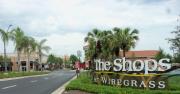 Top Wesley Chapel