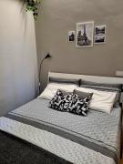 Monolocale luminoso vicino Trastevere