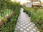 Top Noida