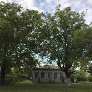 ELENA HOUSE kONTUATI