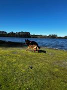 Casa con playa privada en Llanquihue