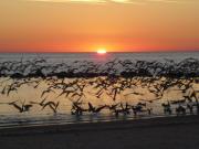 Large Waterfront canal home W Kayaks and covered boathouse