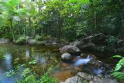 Top Cape Tribulation