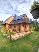 Top Witów Top Witów