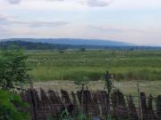 Ishq Sanctum- A Conscious Guest House