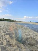 familys dream p16 la Marina de canet