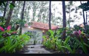 Top Sakleshpur