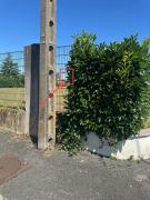 Lumineux & cosy studio