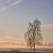 Top Leutkirch im Allgäu