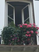 Top Ivry-la-Bataille